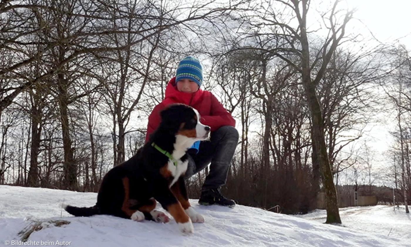 Hunde: Treue Begleiter und emotionale Stützen | Lebensformen