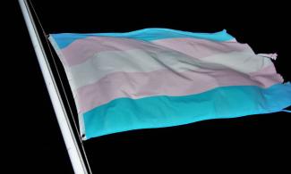 Die Transgender-Flagge