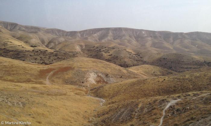 Landschaft in der judäischen Wüste
