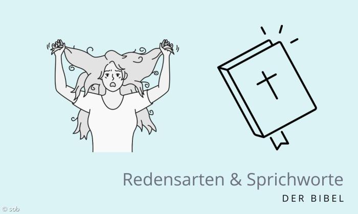 Sich die Haare raufen - Sprichwort aus der Bibel