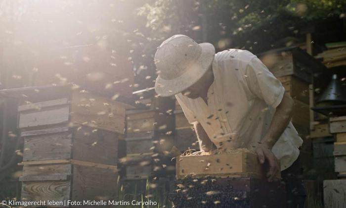Mann steht bei Bienenkästen