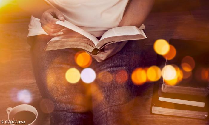 Ein Mensch liest in einem Buch