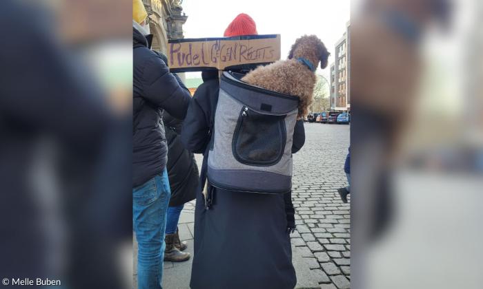 Demonstration gegen Rechts Pudel Hamburg