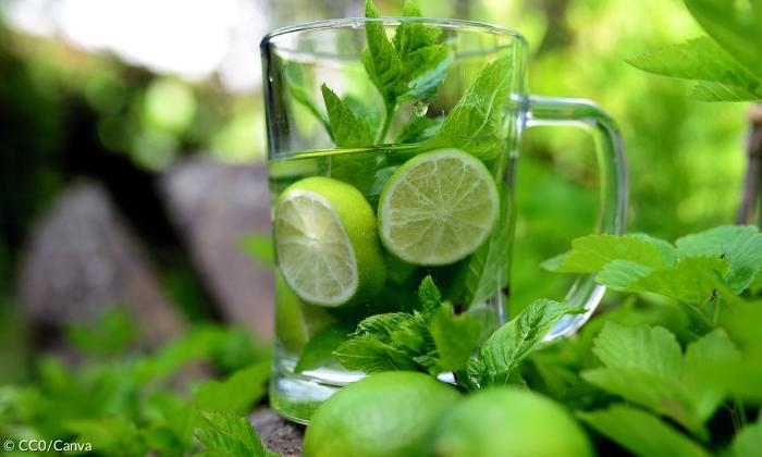 Ein Glas mit Limetten und Minze im Wasser