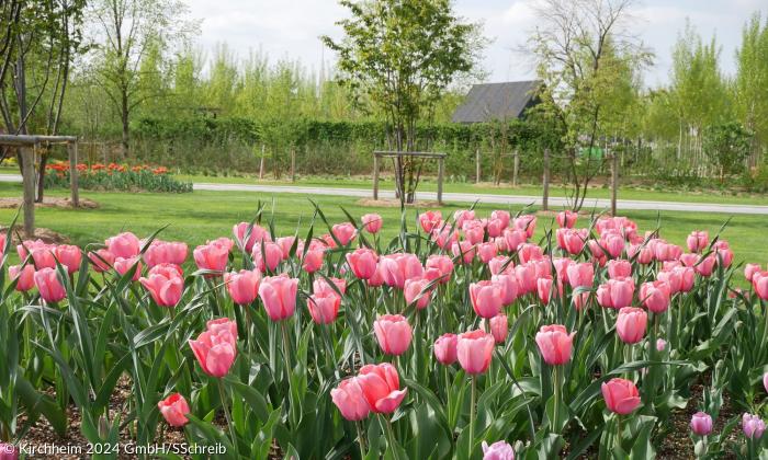 Landesgartenschau 2024 Kirchheim