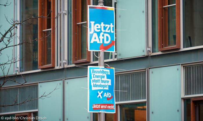 AfD-Wahlplakate mit der Aufschrift "Jetzt erst recht" und "Bezahlbare Energie statt teurer Ideologie"