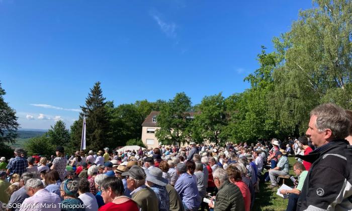 Viele Menschen auf einer Wiese, blauer Himmel