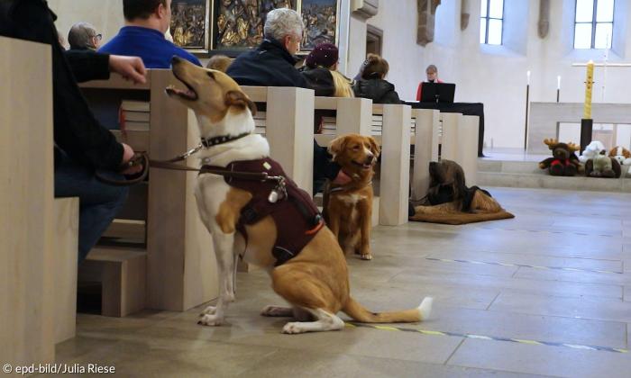 Hunde neben Kirchenbesuchern 