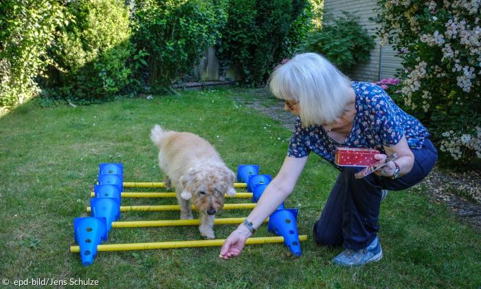 Anngret Neuwirth trainiert ihren dementen Hund Teddy.