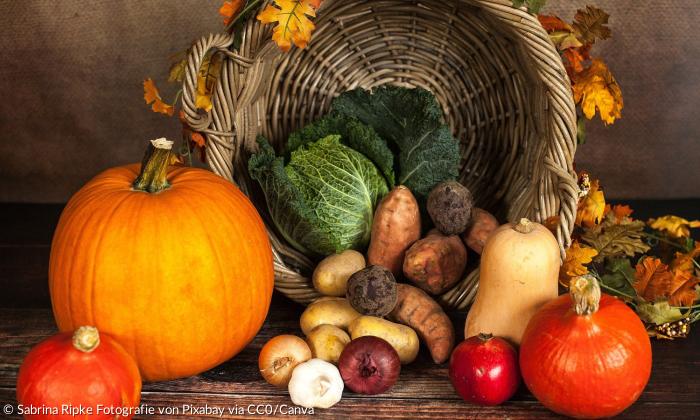 Verschiedenes Obst und Gemüse liegt in einem Korb