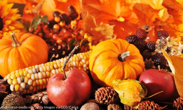 Gemüse und Obst
