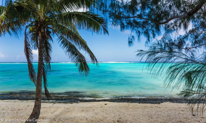 Meer und Palmen auf Rarontonga