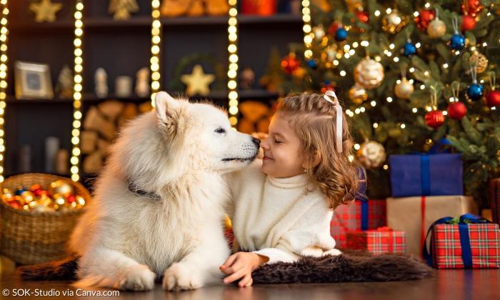 Ein Mädchen und ein weißer Hund sitzen vor einem Weihnachtsbaum mit Geschenken