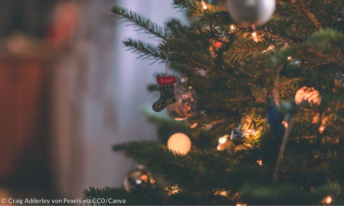 Bunte Lichter an einem grünen Tannenbaum