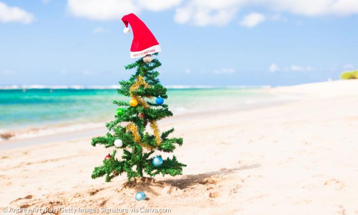 Ein Weihnachtsbaum am Strand