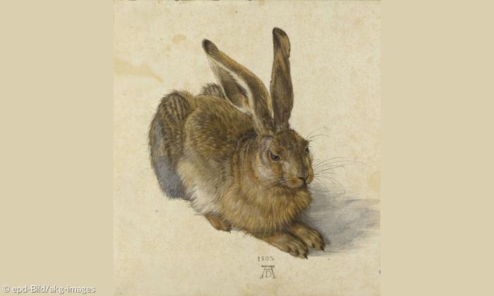 Ein Hase gemalt