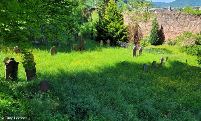 der jüdische Friedhof in Miltenberg