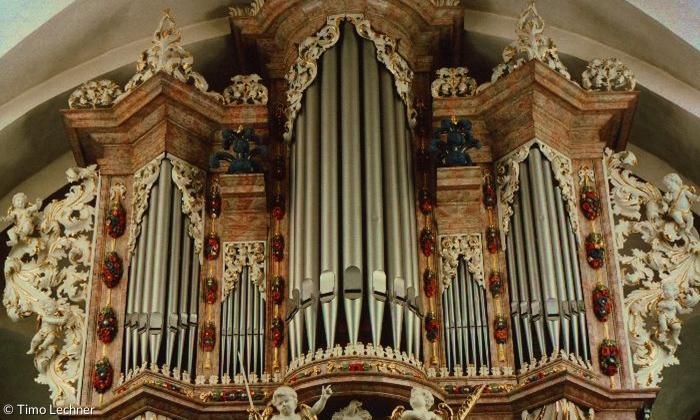 Dauphin-Orgel in Kleinheubach