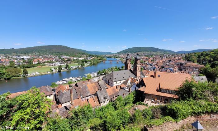 Blick von der Mildenburg in Miltenberg über den Main