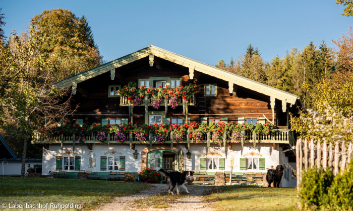 Labenbachhof Bauernhof
