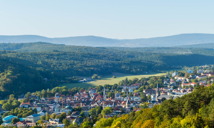 Unterfranken Bad KissingenLandschaft Wald