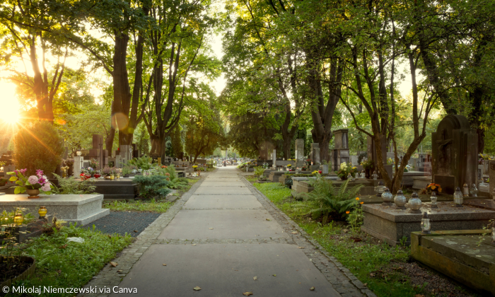 Friedhof im Abendlicht