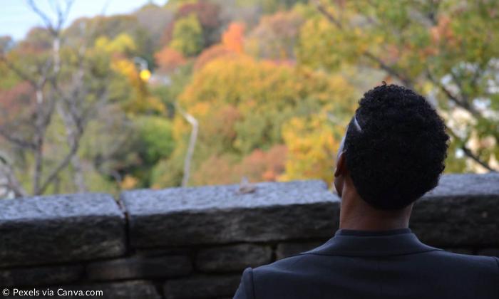 Rückansicht eines Mannes mit Blick auf die Baumwipfel im Herbst