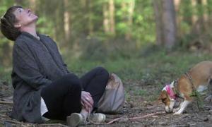 Naturnahe Bestattung im FriedWald Schwanberg | Lebensformen
