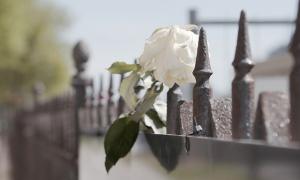 Sophie Scholl: Wellen des Widerstands | Lebensformen