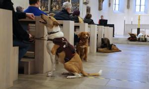 Hunde neben Kirchenbesuchern 