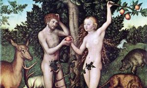 Adam und Eva, Gemälde von Lukas Cranach d. Ä