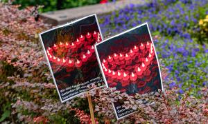 Blumen und zwei Plakate, auf denen aus Kerzen geformte Herzen zu sehen sind