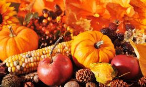 Gemüse und Obst