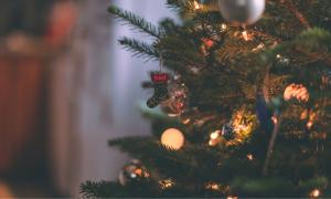 Bunte Lichter an einem grünen Tannenbaum