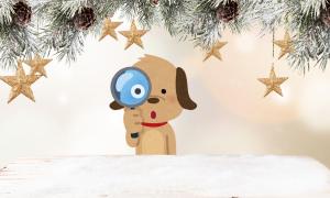 Weihnachtssterne an Tannenzweigen und ein Hund mit einer Lupe