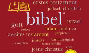 Buchcover von Johanna Haberer "Bibel. 100 Seiten"