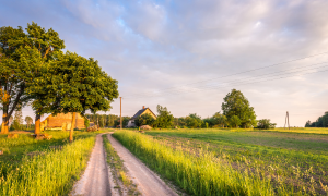 Landstraße im Abendlicht mit Feldern