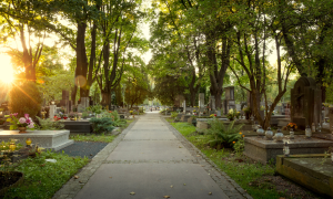 Friedhof im Abendlicht