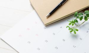 Terminkalender mit Pflanze