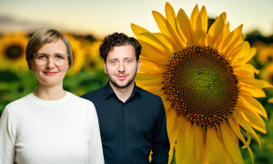 Die Grünen-Vorsitzenden Franziska Brantner und Felix Banaszak und im Hintergrund eine Sonnenblume auf einem Feld