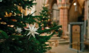 Baum in Kirche