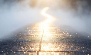 Ein schmaler Pfad glänzt im Morgenlicht, von Nebel umgeben