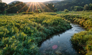 Ein Fluss bei Sonnenaufgang und sonst nur grüne Wiese und im Hintergrund paar Bäume