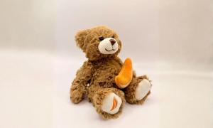 Ein Teddybär