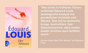 Das Buchcover von "Der Absturz" von Edouard Louis