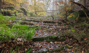 Eine verfallene, überwachsene Treppe