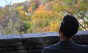 Rückansicht eines Mannes mit Blick auf die Baumwipfel im Herbst